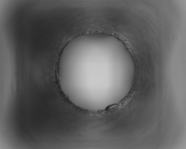 X0000102800192200808180940
