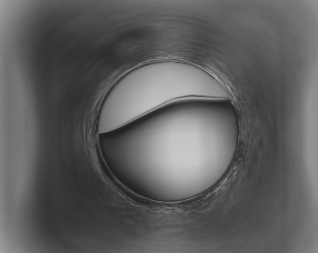 X0000102800193200808180939