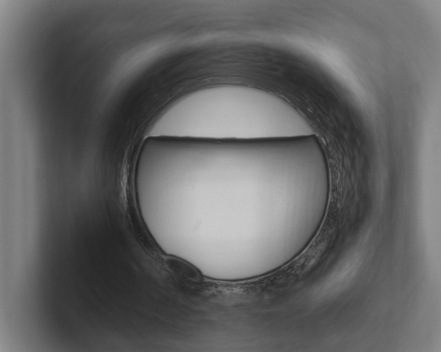 X0000102800194200808180939