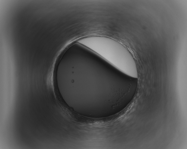 X0000102800196200808180939