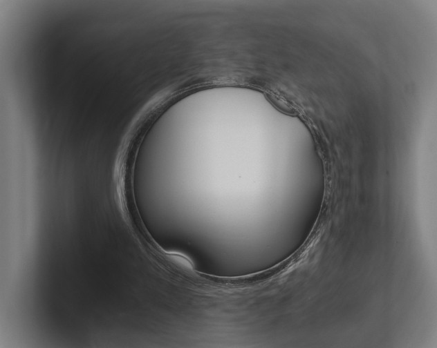 X0000102800197200808180939