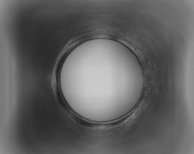 X0000102800198200808180939