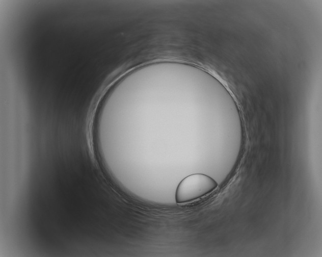 X0000102800199200808180939