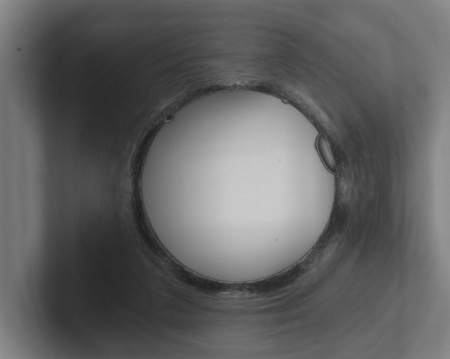 X0000102800211200808180939