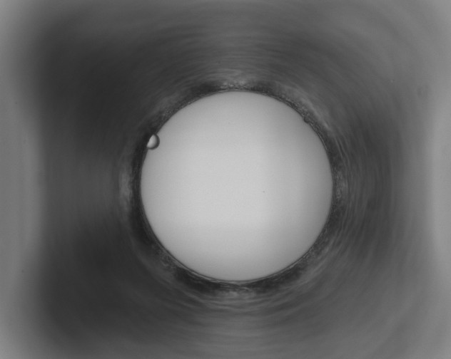 X0000102800215200808180939