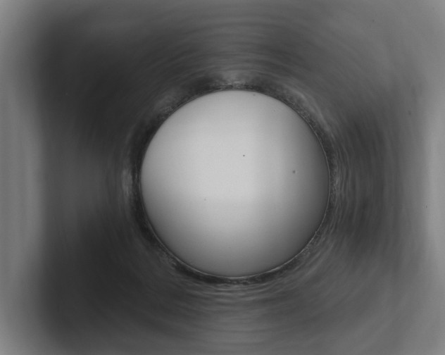 X0000102800220200808180939