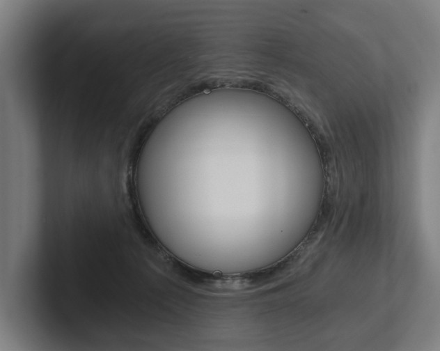 X0000102800225200808180939