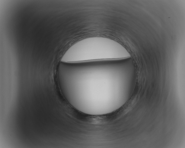 X0000102800229200808180939