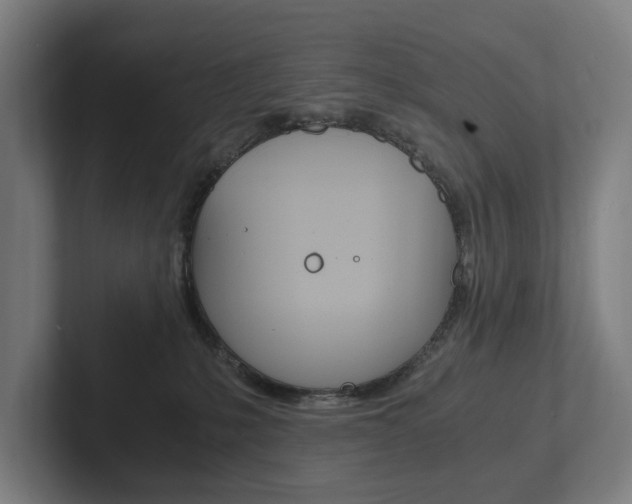 X0000102800231200808180939