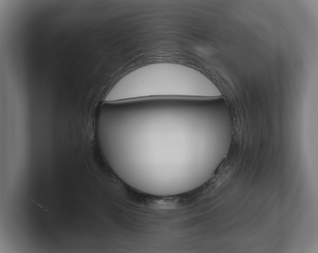 X0000102800232200808180939