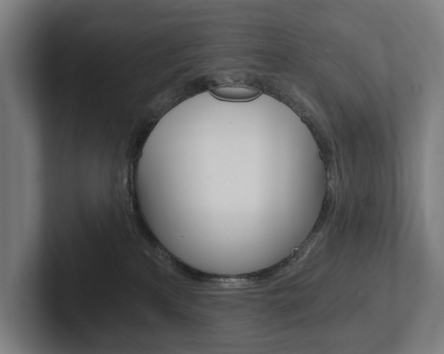 X0000102800233200808180939