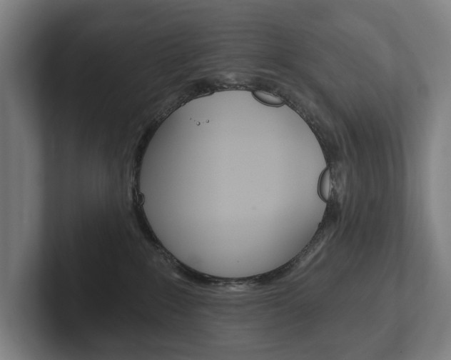 X0000102800235200808180939