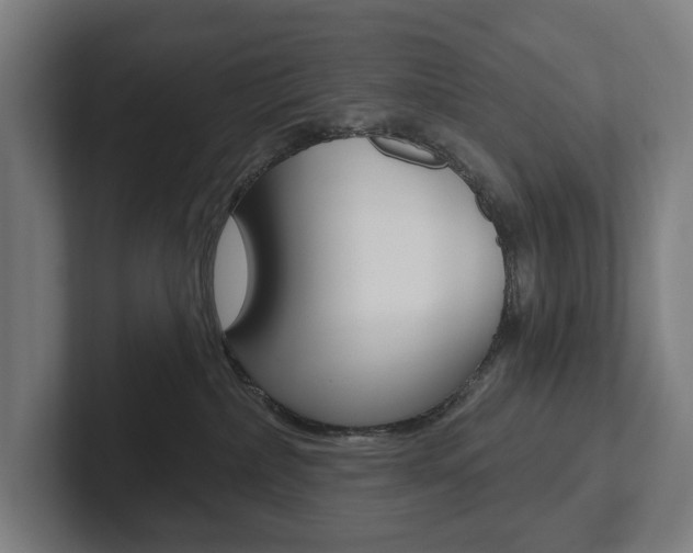 X0000102800236200808180939