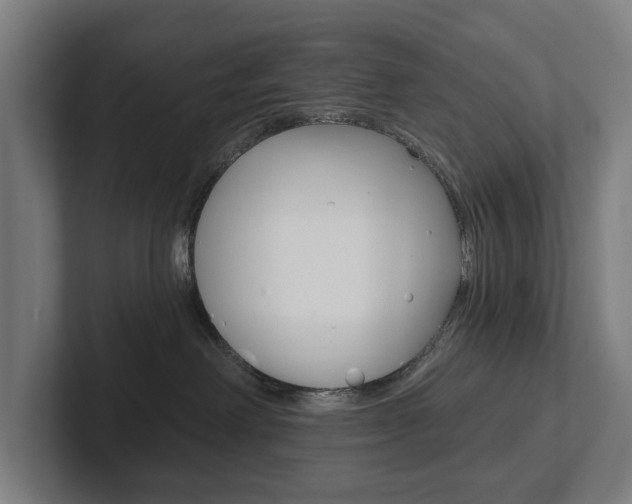 X0000102800238200808180939