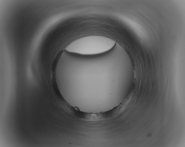 X0000102800239200808180939