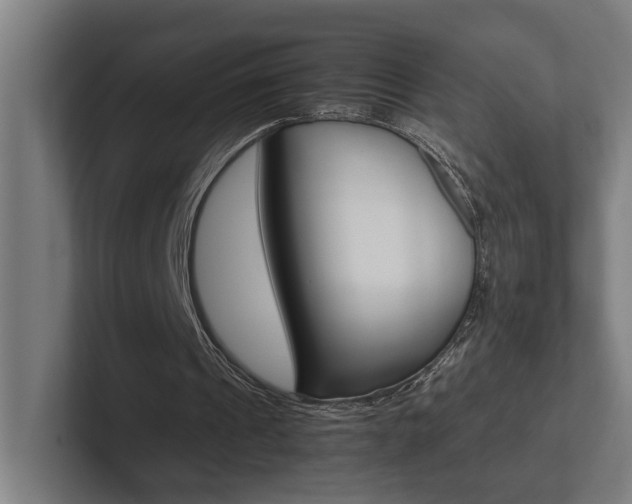 X0000102800241200808180938