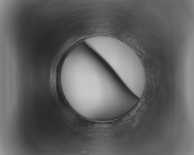 X0000102800242200808180938