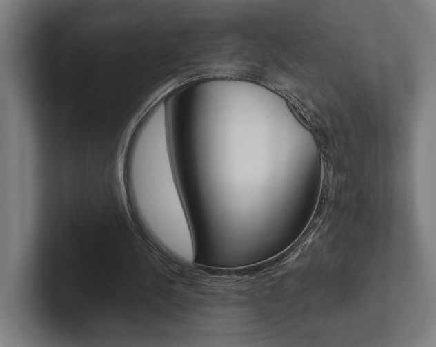 X0000102800244200808180938