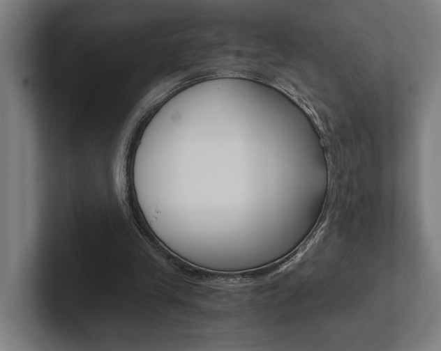 X0000102800245200808180938