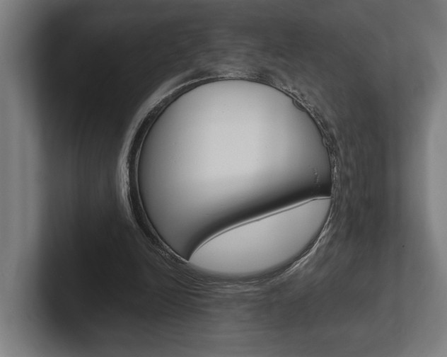 X0000102800246200808180938