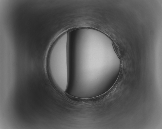 X0000102800248200808180938