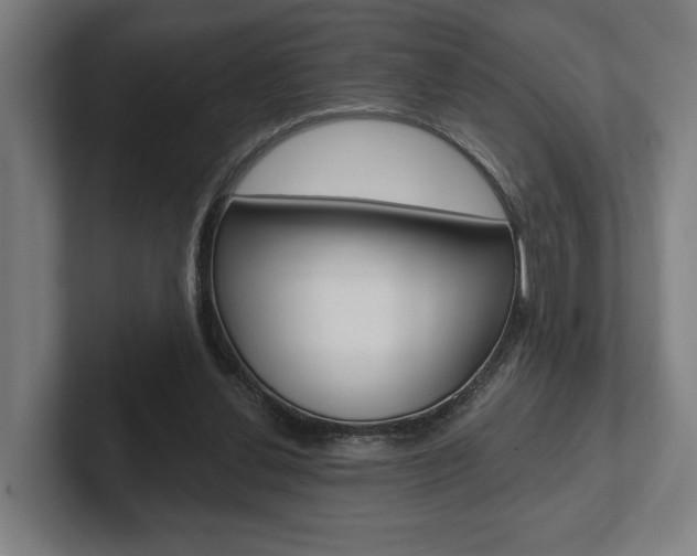 X0000102800252200808180938