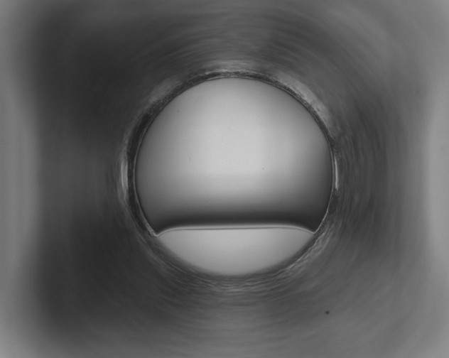 X0000102800253200808180938