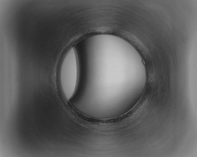 X0000102800256200808180938