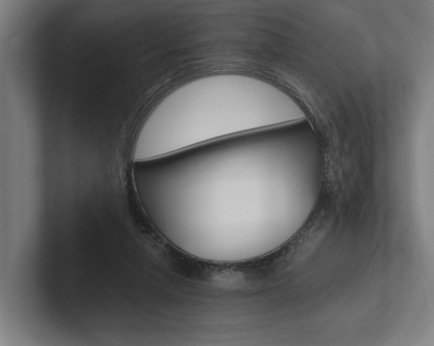 X0000102800258200808180938
