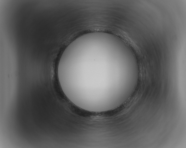 X0000102800259200808180938