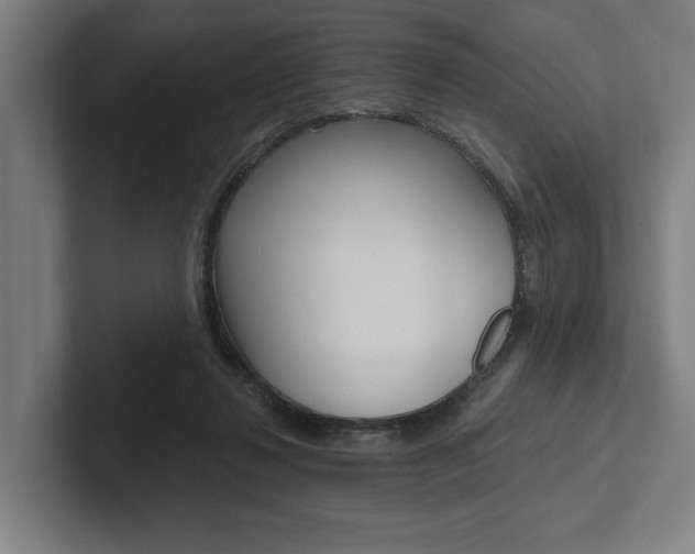 X0000102800260200808180938
