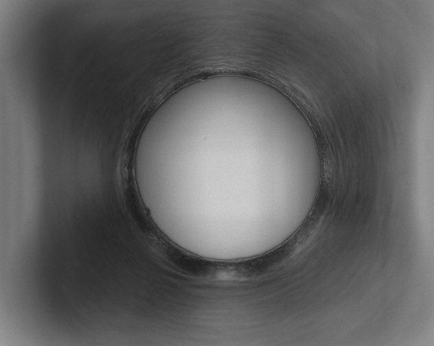X0000102800264200808180938