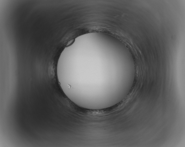 X0000102800282200808180939