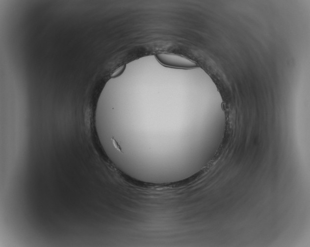 X0000102800283200808180939
