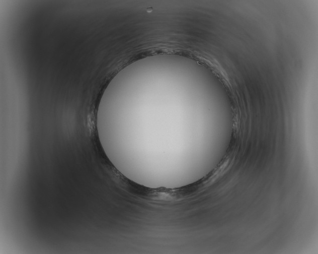 X0000102800285200808180939
