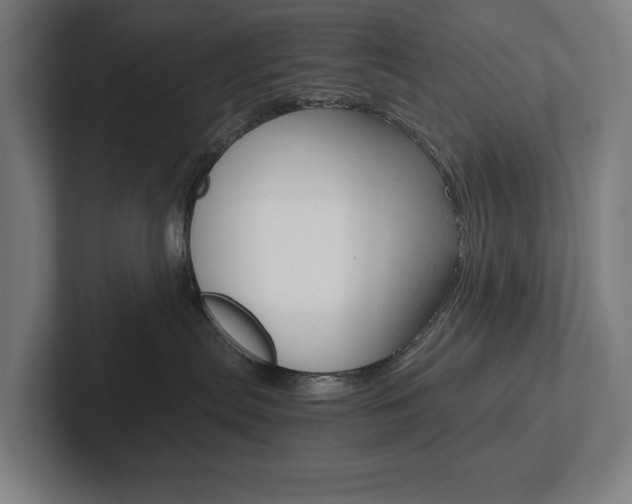 X0000102800287200808180939