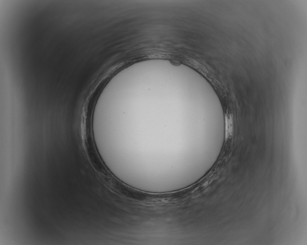 X0000102800291200808180938