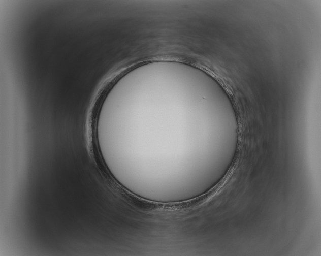 X0000102800294200808180938