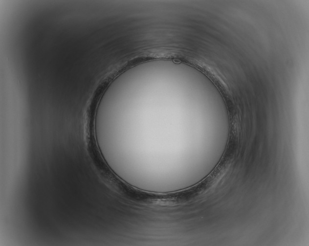 X0000102800303200808180938