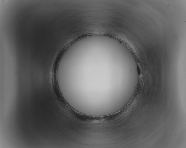 X0000102800306200808180938