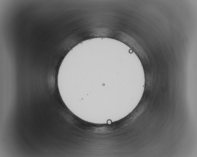 X0000102800309200808180938
