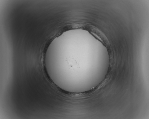 X0000102800329200808180937
