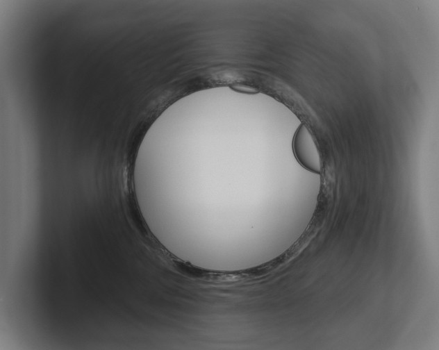 X0000102800330200808180937