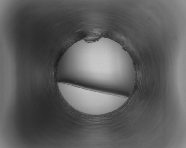 X0000102800331200808180937