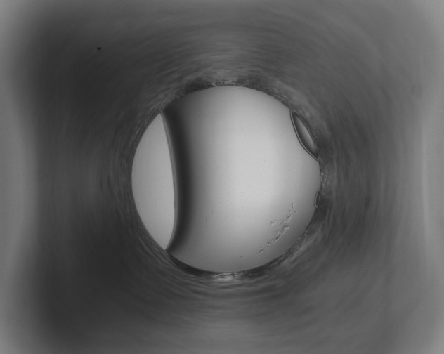 X0000102800335200808180937