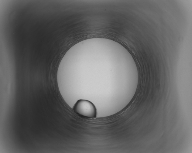 X0000102800336200808180937