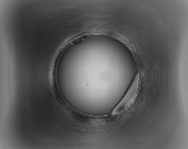 X0000102800340200808180937
