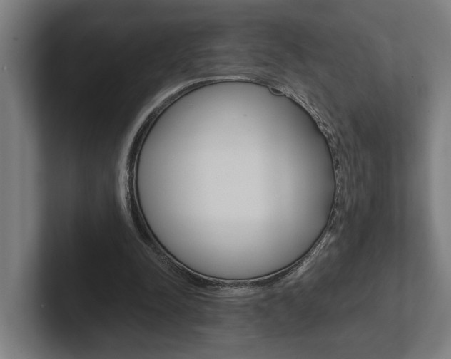X0000102800342200808180937