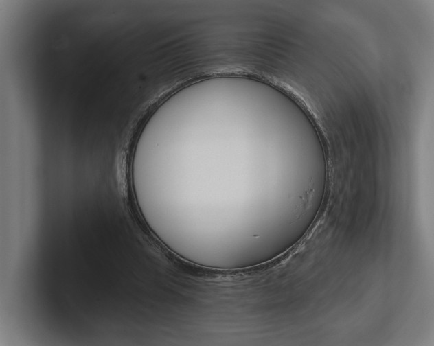 X0000102800345200808180937