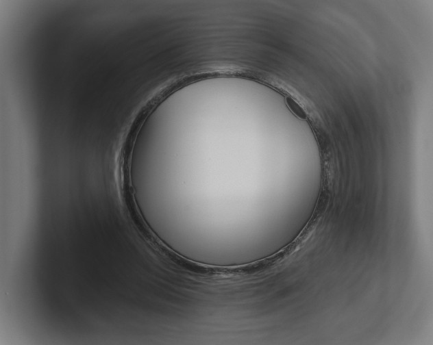 X0000102800350200808180937